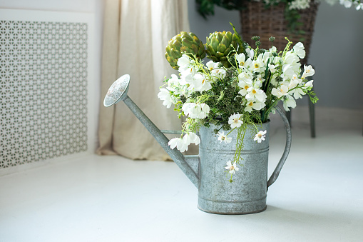 Watering can with plants and flowers. Vintage rustic garden Tool at home. Summer bouquet of flowers in watering can. Bunch of daisies in watering can. Gardening concept. Daisies and plants in vase