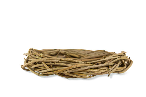 istock Natural bird's nest from branches on white isolated background. Easter, natural element. Copy space 1471664505