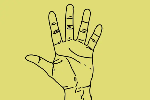 Vector illustration of Hand illustration raised up with fingers spread