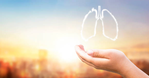 Hand holding white human lung shape on sunset PM2.5 city background stock photo