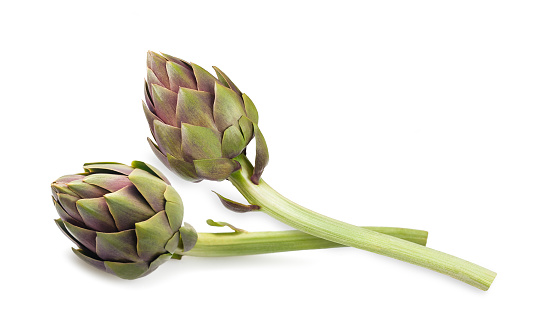 Two Fresh Artichokes Isolated on White background