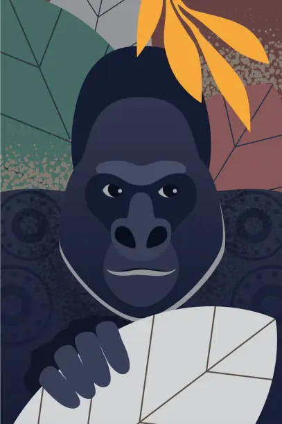 Vector illustration of African gorilla portrait