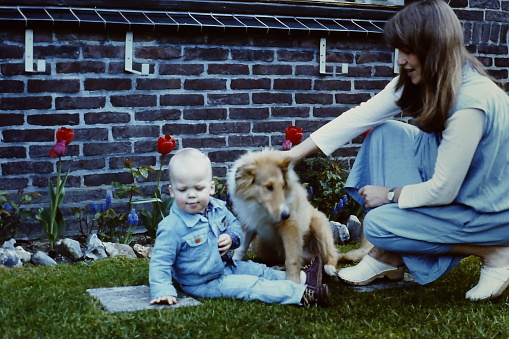 Mother with her toddler child playing with the young Collie dog