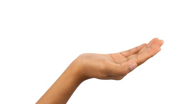 istock Hands raise something isolated for display product 1471677013