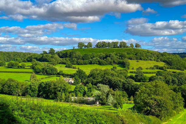 istock Summer landscape near Uley 1471677520