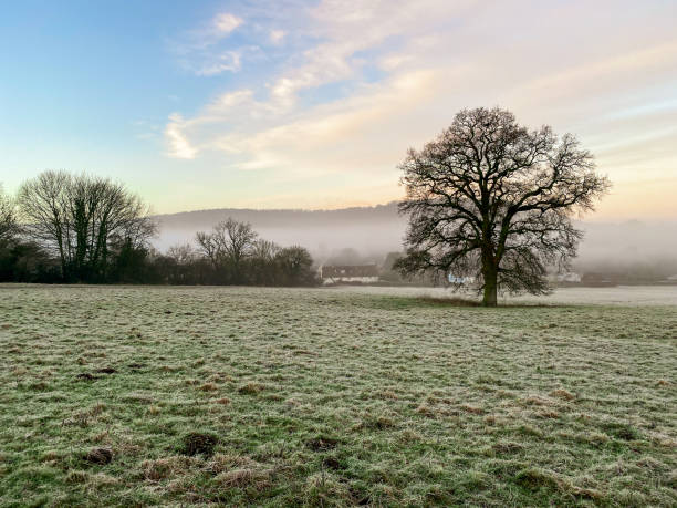 istock Winter morning in rural Gloucestershire 1471678640