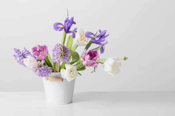 istock spring flowers in bucket on white  background 1471678898