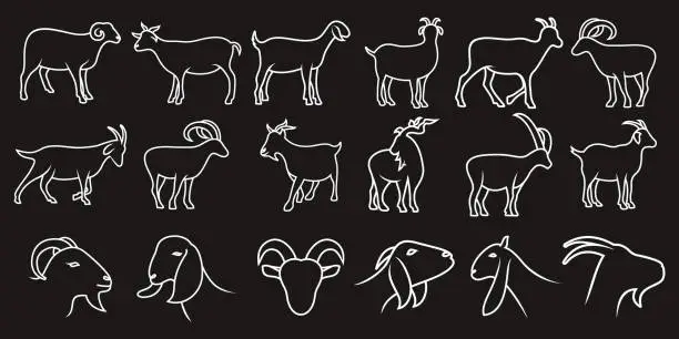 Vector illustration of Set of goat vector illustration with simple line design suitable for icon or logo