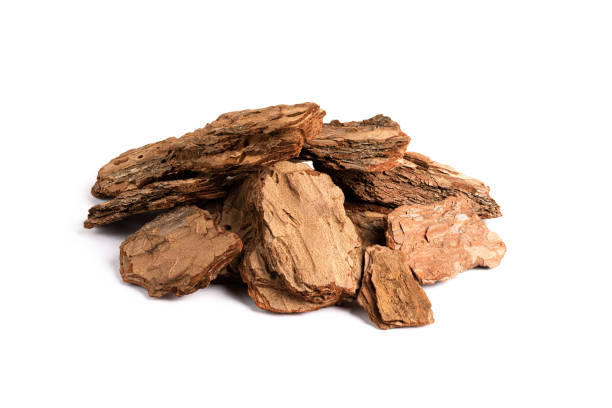 Heap of pine bark pieces isolated on white background Pine bark chips for potting mix preparation or as organic mulch material bark stock pictures, royalty-free photos & images