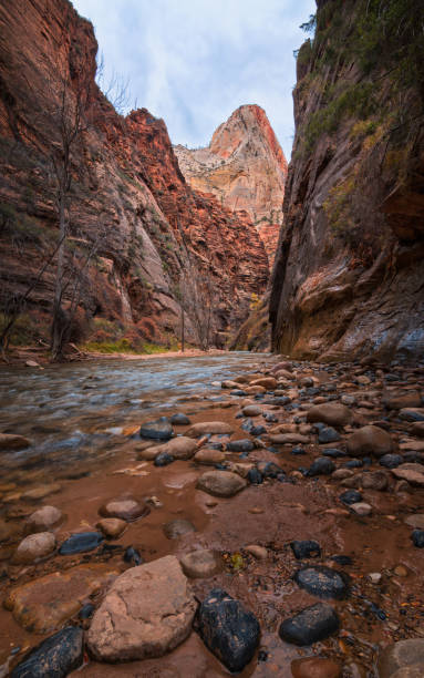istock narrows zion national park 1471680035