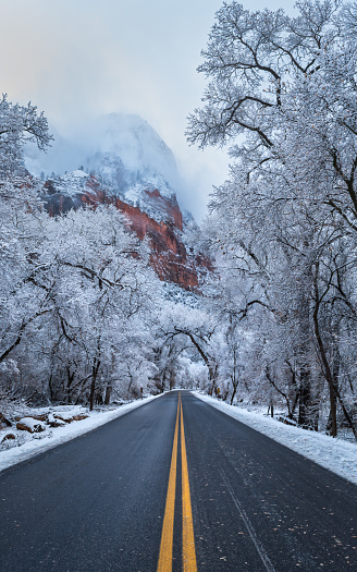 scenic road zion national park