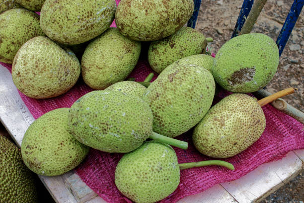 istock Breadfruit in Local Vegetable fruit Market Nuwara Eliya hil 1471684743