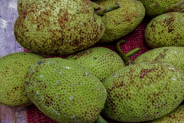 istock Breadfruit in Local Vegetable fruit Market Nuwara Eliya hil 1471684744
