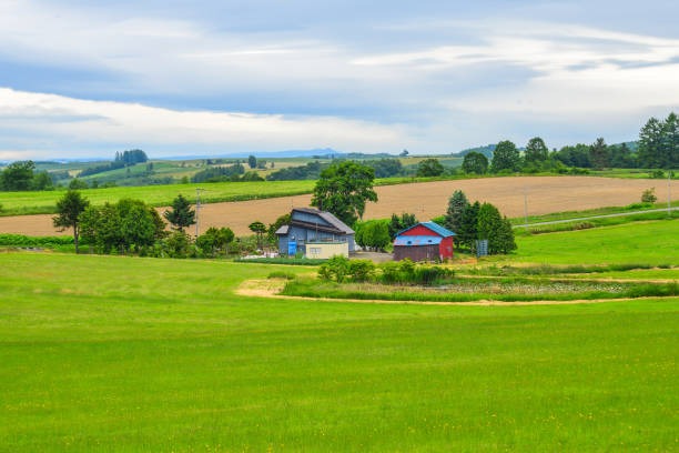 istock Beautiful rural scenery at summer day 1471685864