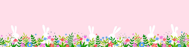 illustrations, cliparts, dessins animés et icônes de lapins blancs et fleurs colorées sur fond rose. conception de pâques. en-tête panoramique. illustration vectorielle - rabbit easter flower frame