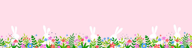 illustrazioni stock, clip art, cartoni animati e icone di tendenza di coniglietti bianchi e fiori colorati su sfondo rosa. design di pasqua. intestazione panoramica. illustrazione vettoriale - rabbit easter flower frame