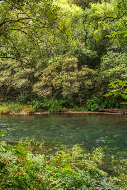 istock Fragas do Eume Natural Park, Pontedeume, Spain 1471690701