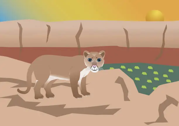 Vector illustration of Mountain lion in north american landscape at sunset