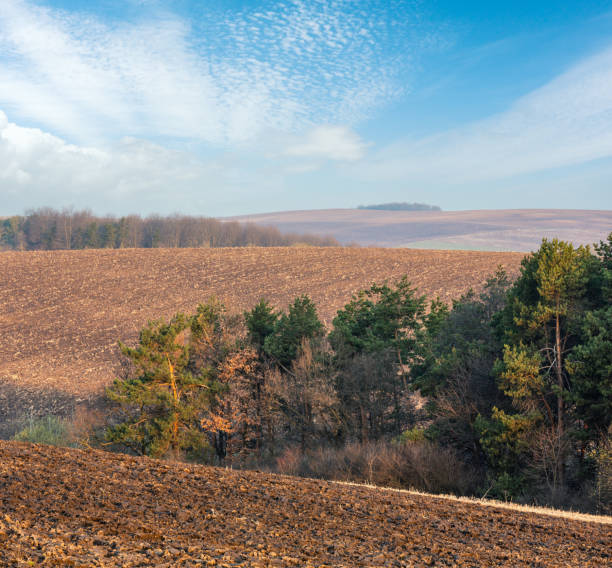 istock Spring morning arable and growth fields and countryside. 1471695284