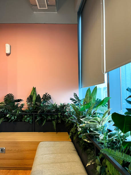 istock green side of the room 1471697016