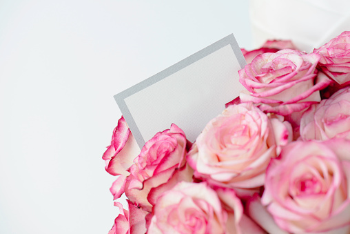 Pink roses and blank note card.