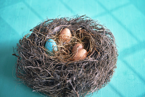 Easter Eggs in a Nest on Vibrant Background