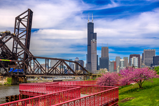 Chicago, Illinois, USA park and downtown skyline in spring.