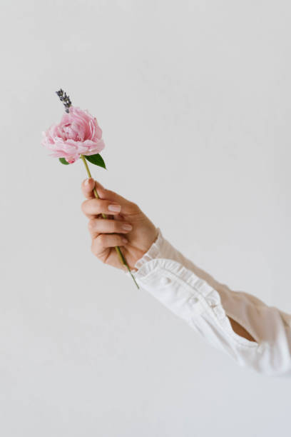istock Woman's hand holding a flower 1471704774