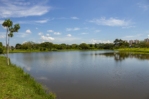 Goiania, Goias, Brazil – March 05, 2023: A landscape of Leolídio di Ramos Caiado Park in the city of Goiânia with a small lake and fresh green vegetation.