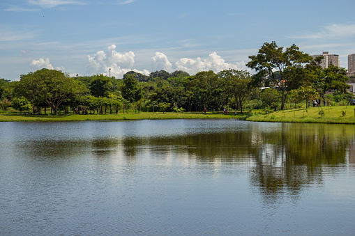 Goiania, Goias, Brazil – March 05, 2023: A landscape of Leolídio di Ramos Caiado Park in the city of Goiânia with a small lake and fresh green vegetation.