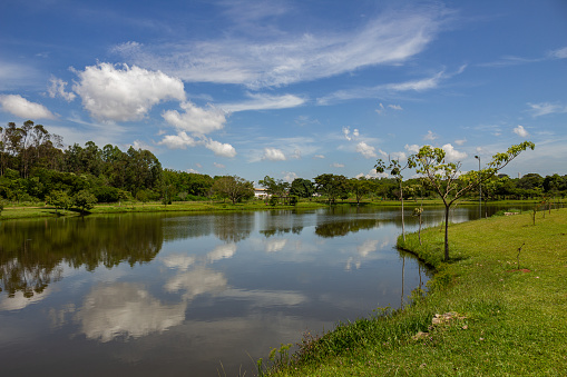 Goiania, Goias, Brazil – March 05, 2023:  A landscape of Leolídio di Ramos Caiado Park in the city of Goiânia with a small lake that reflects the sky.