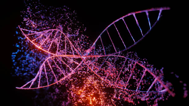 DNA strand. Butterfly dna stock photo