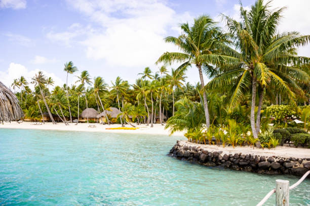 istock Beachfront bungalows in a palm grove on Bora Bora, Tahiti 1471707765