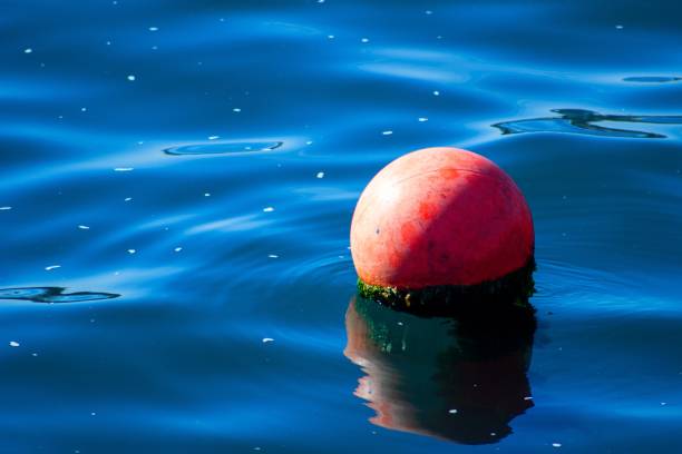 istock Orange buoy in the sea 1471707785