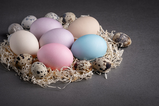 Easter eggs on a gray background.