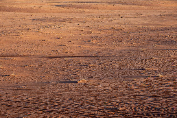 istock Tire tracks in the desert 1471708086