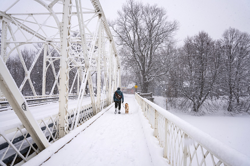 Minto bridge in snow with person walking their dog