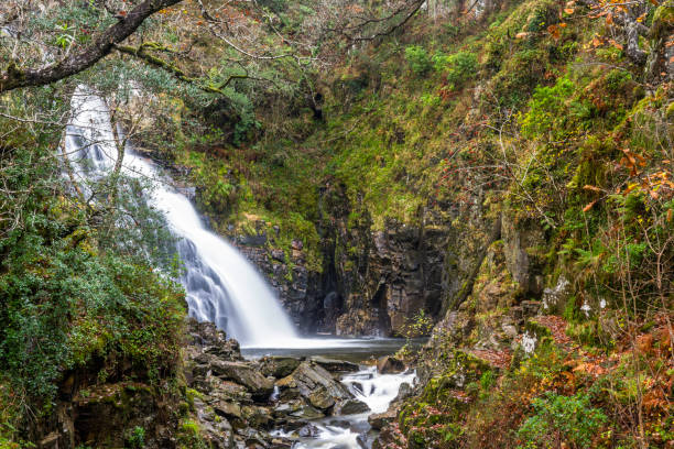 Pistyll y Cain Waterfall in Coed y Brenin Forest Park in Autumn, fall, landscape. - fotografia de stock