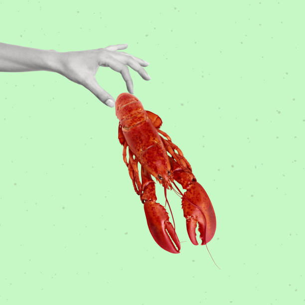 istock Contemporary art collage of hand holding crayfish. 1471717247