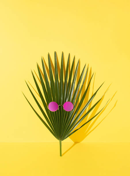 istock Creative composition made of palm leaf with sunglasses pink reflection. Minimal summer relaxation concept. 1471722153