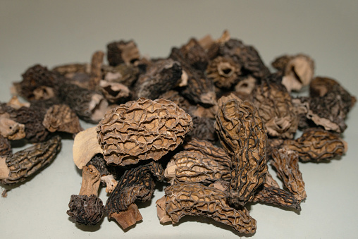 Heap of dried Morchella mushrooms on white pad.
