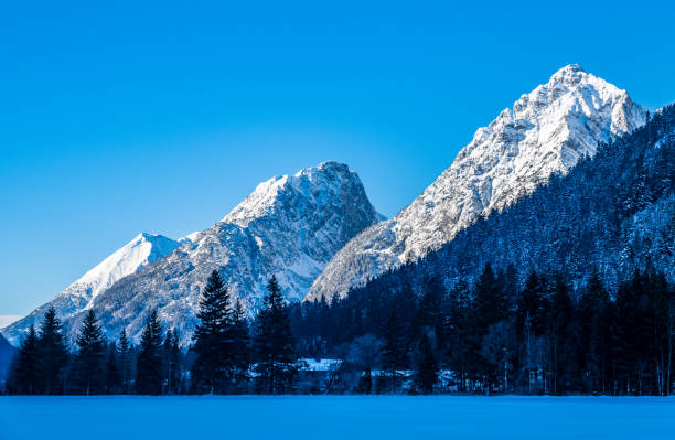 istock Leutasch valley in austria 1471727924