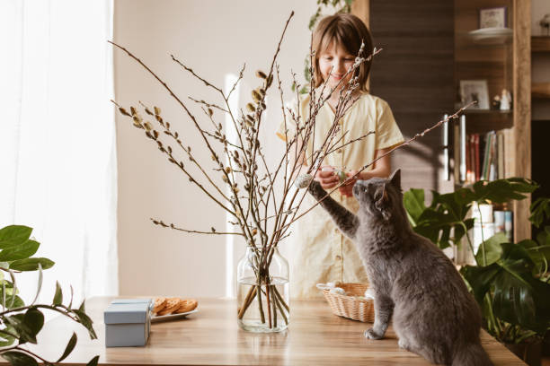 a happy girl hangs easter eggs on a willow bouquet at home with a little kitten. funny pets. easter decoration - child easter egg home improvement easter imagens e fotografias de stock