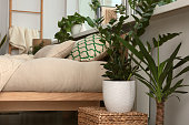 istock Stylish bedroom interior with beautiful house plants. Home design idea 1471734958