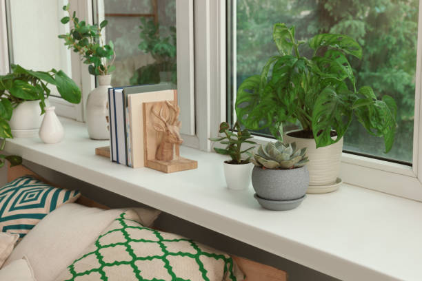 Table arranged for indoor gardening.