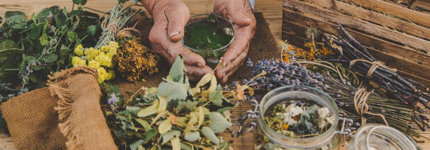 istock Grandmother makes tea with medicinal herbs. Selective focus. 1471735399