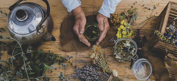 Grandmother makes tea with medicinal herbs. Selective focus. Grandmother makes tea with medicinal herbs. Selective focus. Nature. healthcare fitness and herbal medicine banner set stock pictures, royalty-free photos & images
