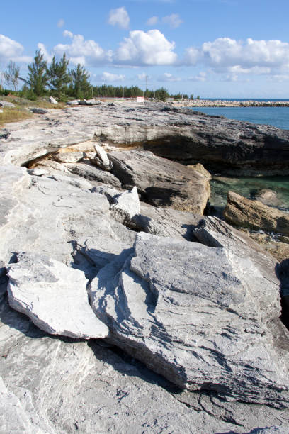istock Grand Bahama Island Eroded Rocky Shore 1471741121