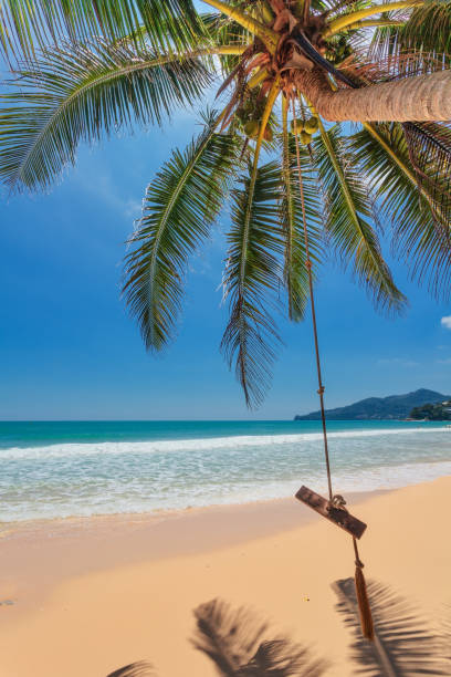 istock Beautiful tropical beach. Phuket. Thailand 1471744279