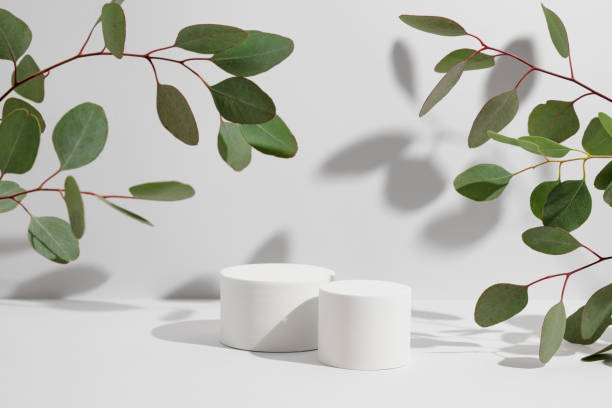 istock Two empty white cylinder shaped podium and natural green eucalyptus branch with shadows on light grey background. Pedestal or showcase for product presentation. Mockup for beauty cosmetic advertising 1471744648